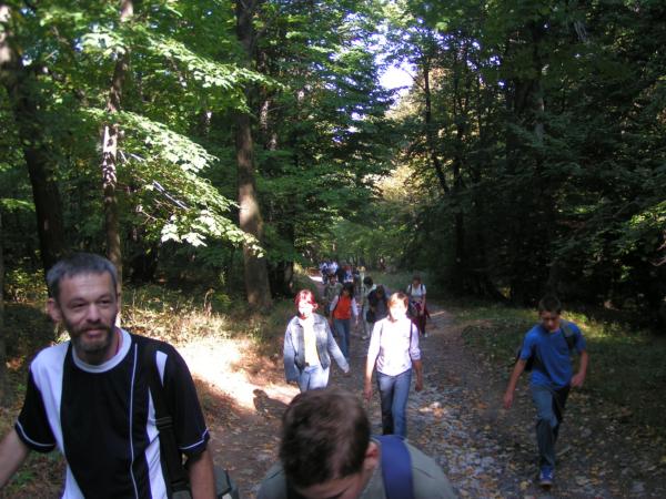 pict4734 (web)